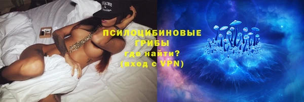 спиды Горно-Алтайск